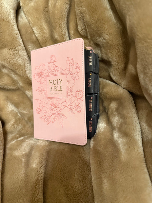 Ballet Pink Floral KJV Large Print Compact Holy Bible