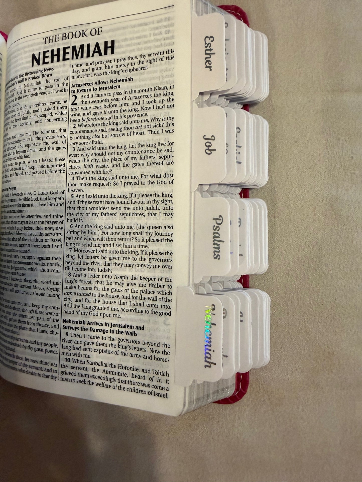 Pink Blossom KJV Holy Bible