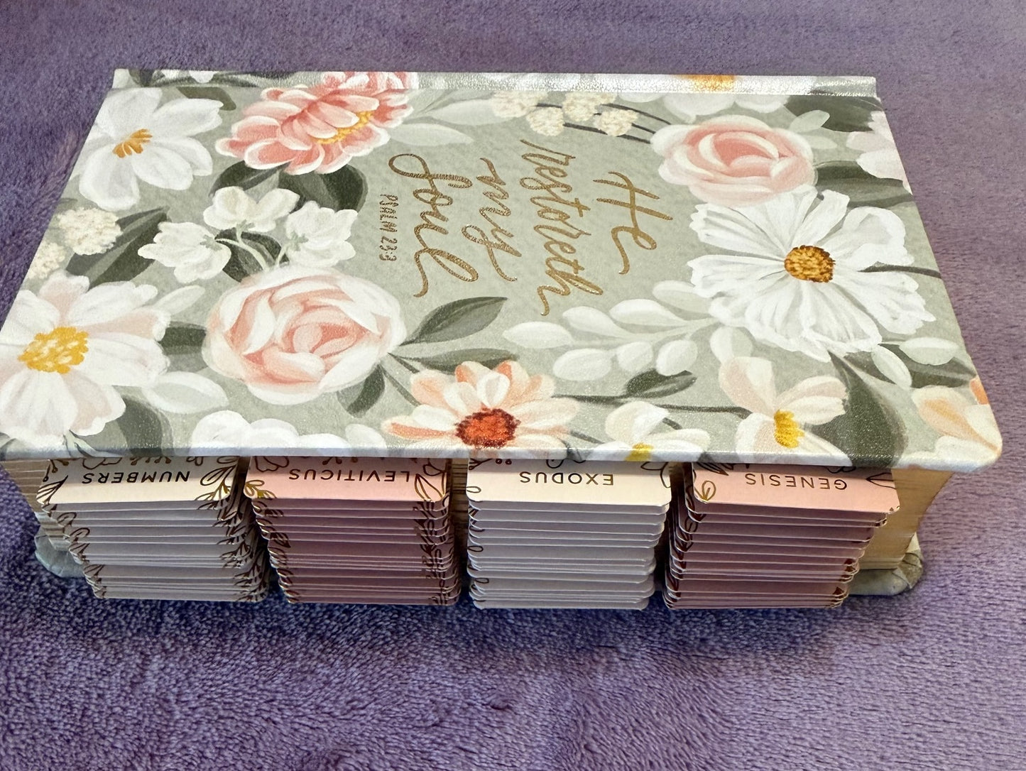 Soft Pink and White Floral KJV Compact Holy Bible