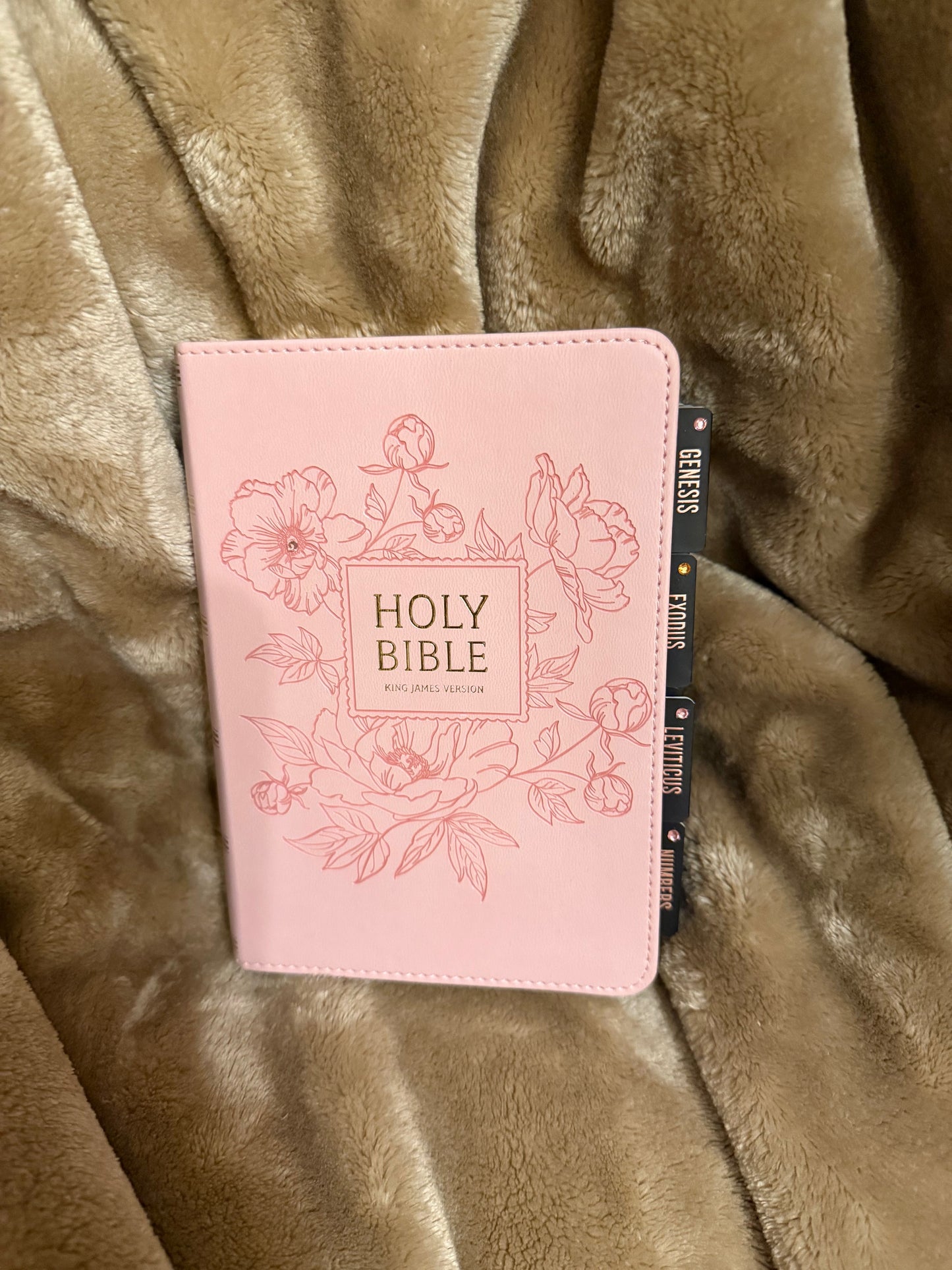 Ballet Pink Floral KJV Large Print Compact Holy Bible