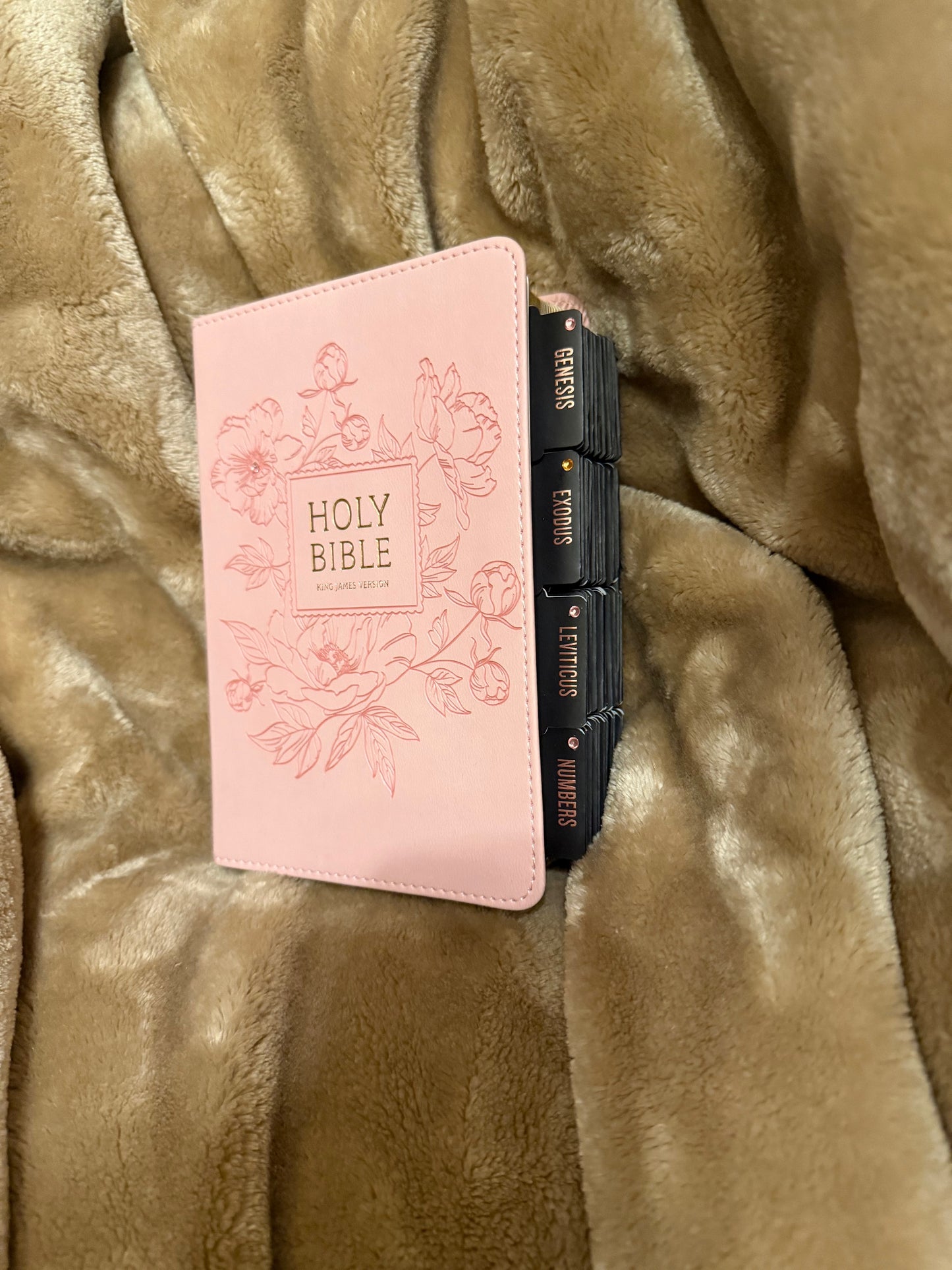 Ballet Pink Floral KJV Large Print Compact Holy Bible
