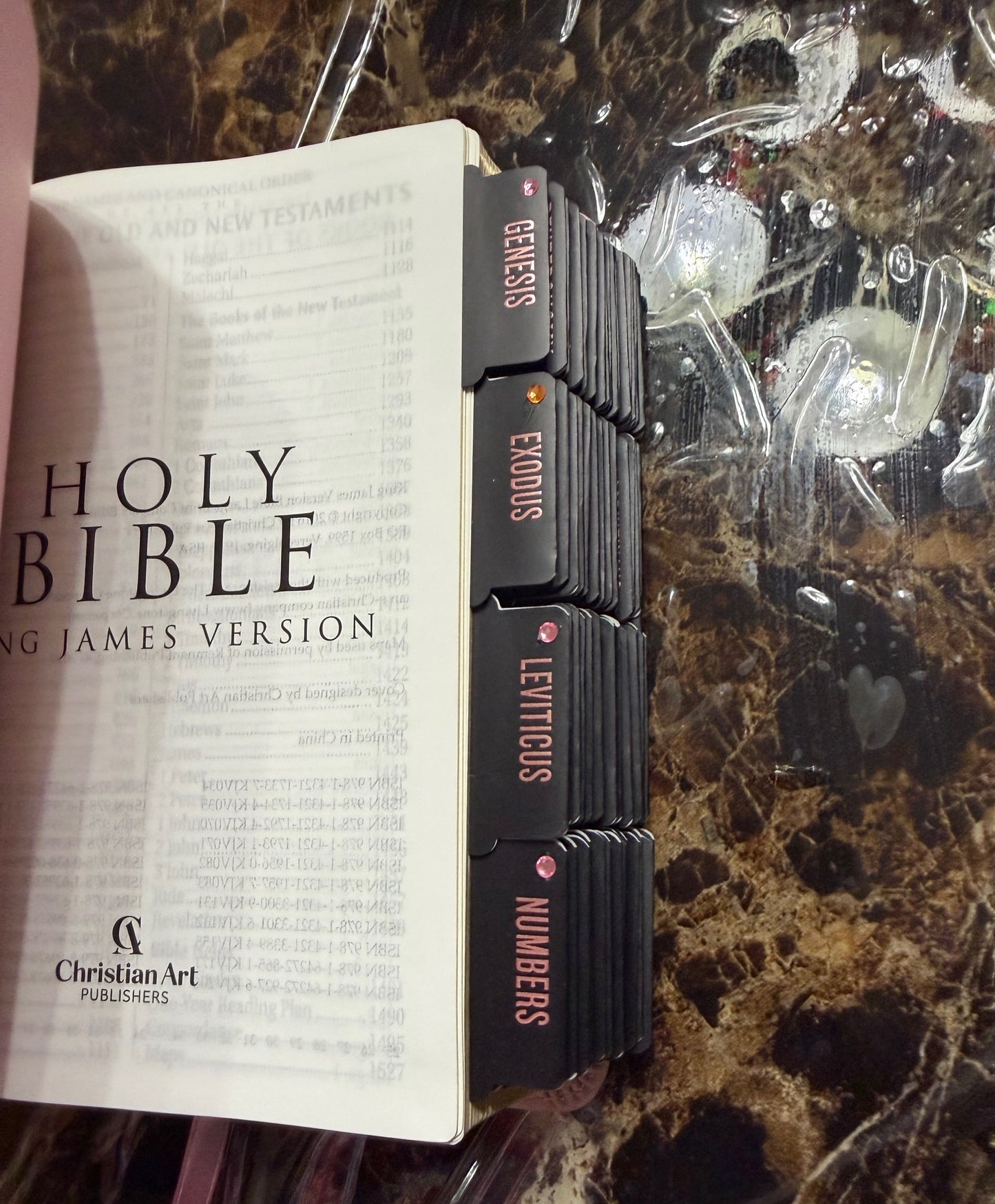 Ballet Pink Floral KJV Large Print Compact Holy Bible