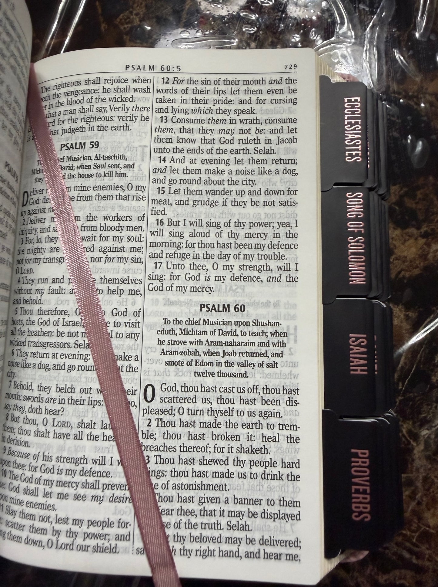 Ballet Pink Floral KJV Large Print Compact Holy Bible