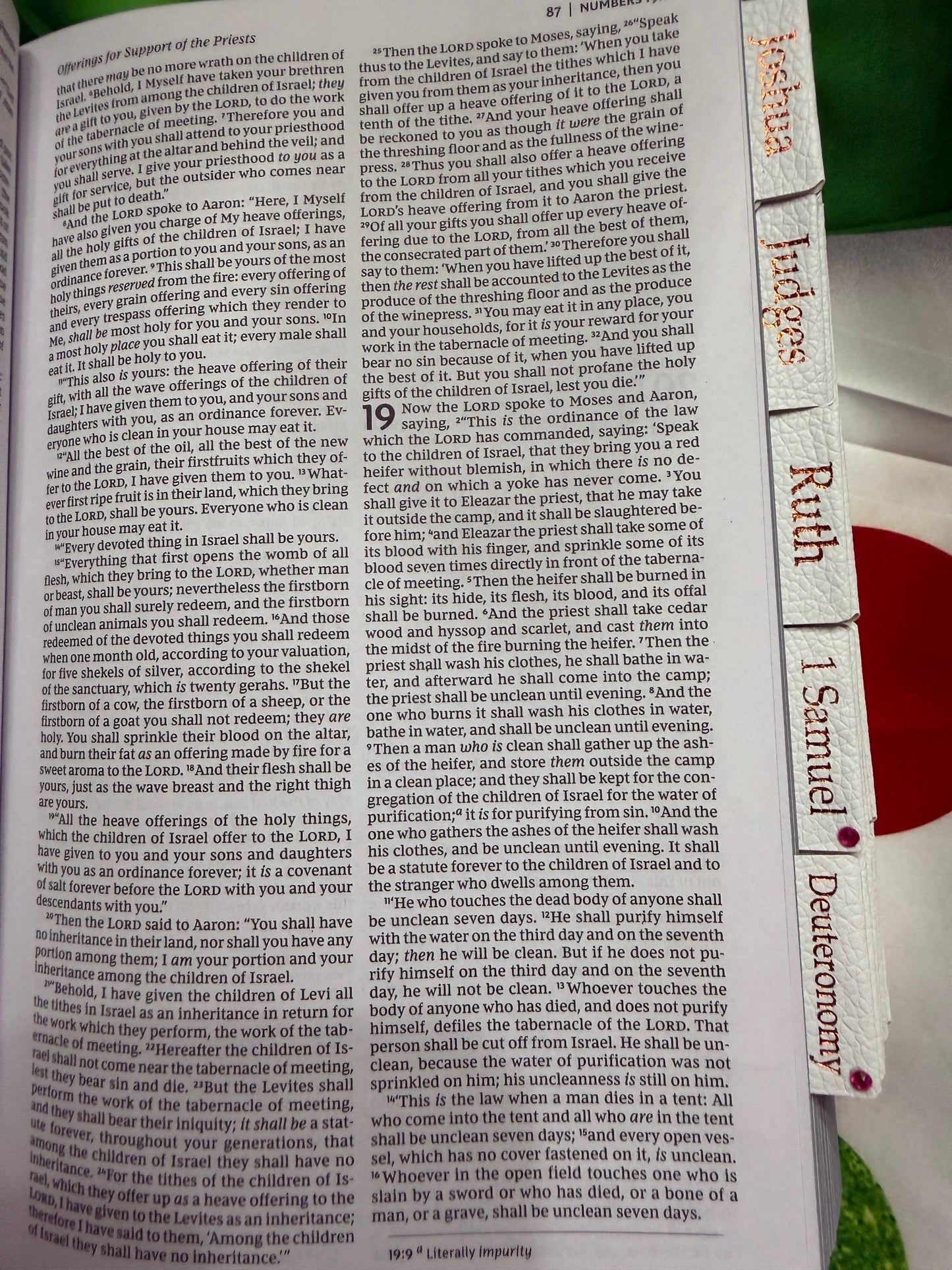 Fuchsia NKJV Holy Bible