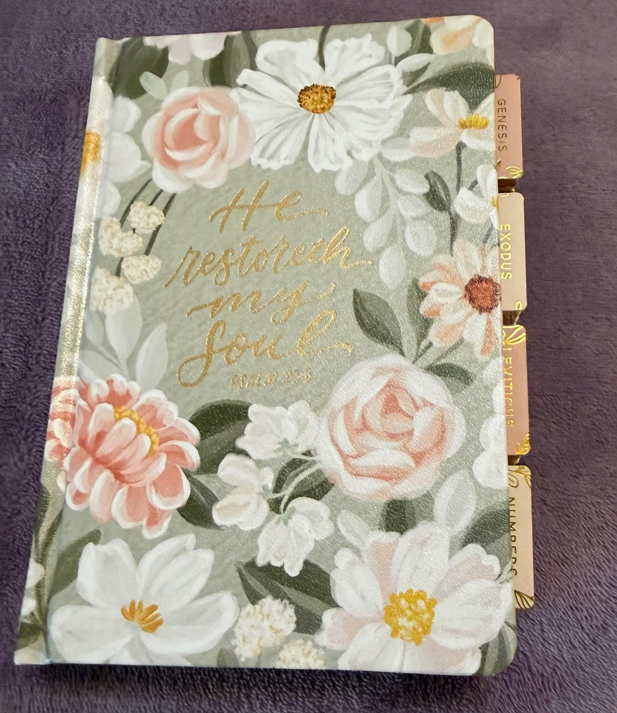 Soft Pink and White Floral KJV Compact Holy Bible