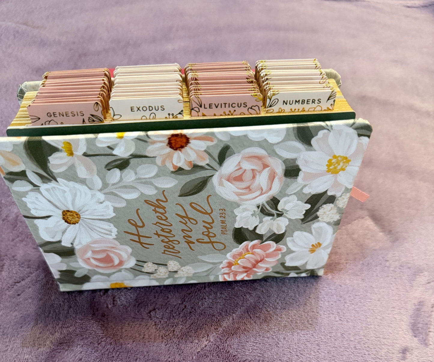 Soft Pink and White Floral KJV Compact Holy Bible