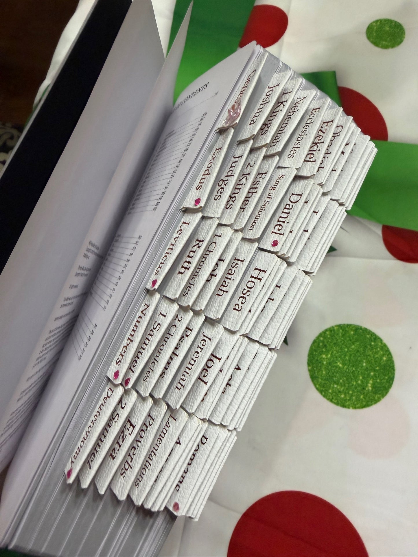 Fuchsia NKJV Holy Bible