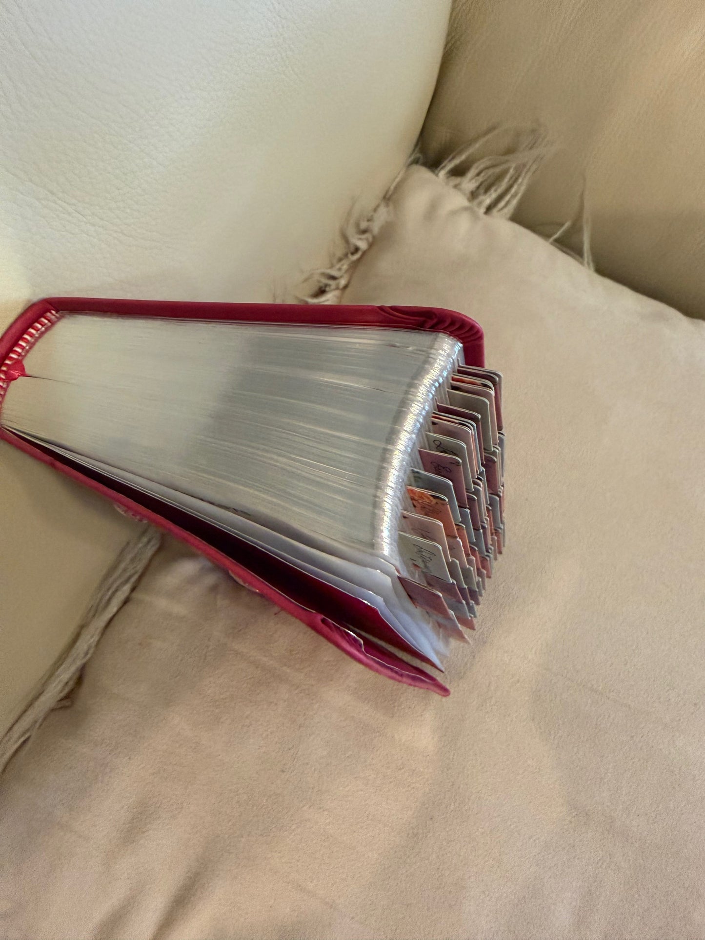 Pink Designed KJV Large Print Compact Reference Bible